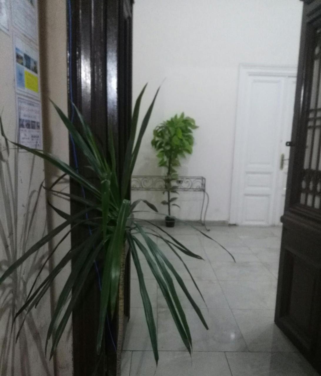 Safary Hostel Kair Zewnętrze zdjęcie